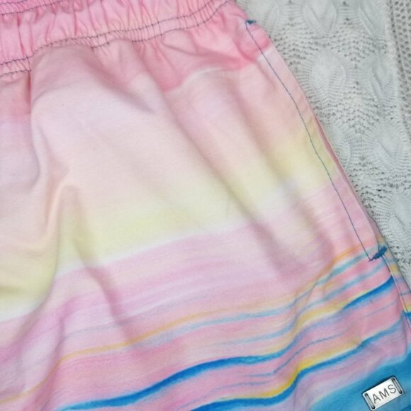 AMS Swimwear popsicle print swim shorts multi color size XG beach gym mesh liner - Picture 4 of 10